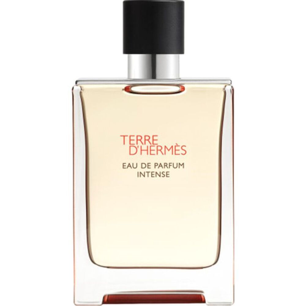 Hermes Terre D'hermes Intense Eau de Parfum Spray for Men 0.42 oz - New